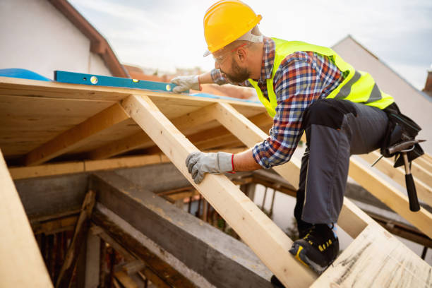Best Roof Gutter Cleaning  in Carrollton, GA