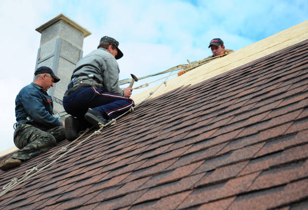 Best Flat Roof Repair Services  in Carrollton, GA