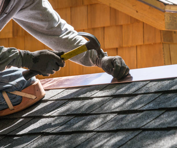 Best Metal Roofing Contractor  in Carrollton, GA